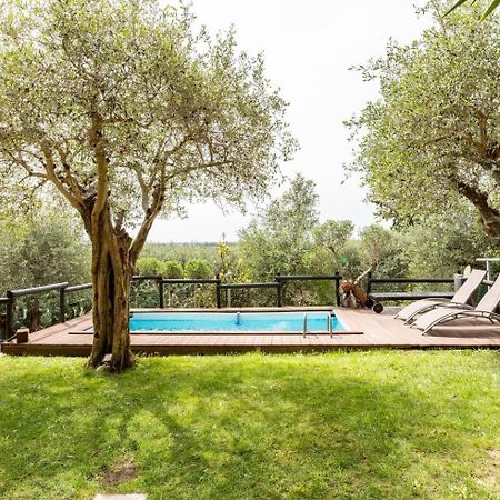 Villa Villacolle Massarosa Exterior photo