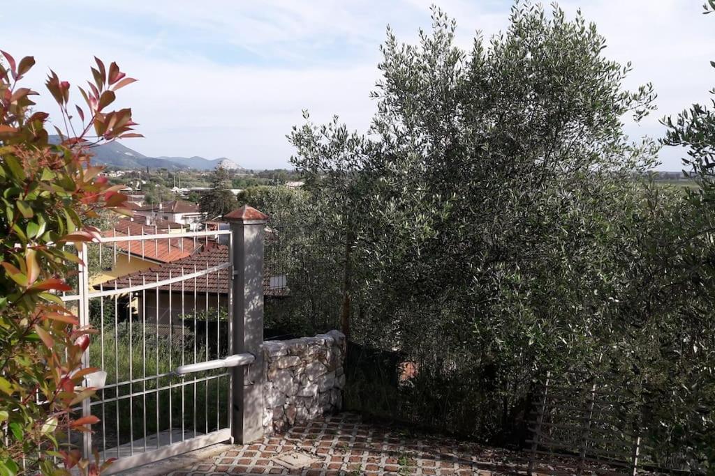 Villa Villacolle Massarosa Exterior photo