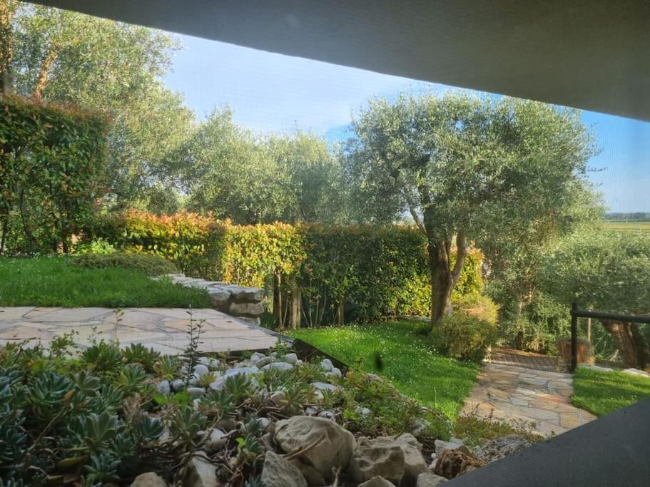 Villa Villacolle Massarosa Exterior photo